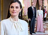 Queen Letizia looks regal in floor-length pink skirt as she greets Spain’s Diplomatic Corps