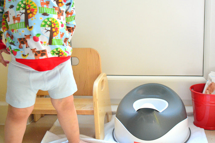 Ask A Montessori Teacher - Toilet Learning, Going from Potty to Toilet